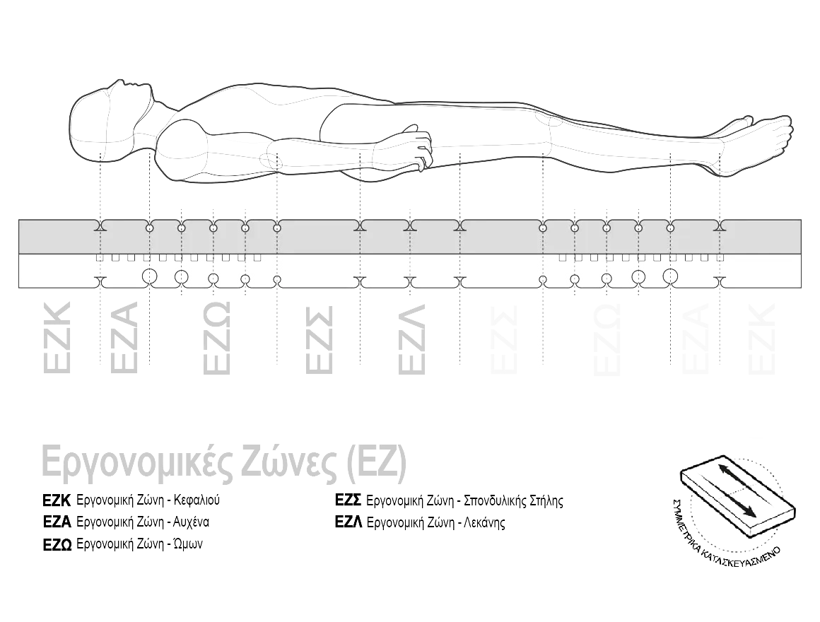 Mattress core of the BODYGUARD® Anti-Cartel-Mattress shows the different ergonomic modules. Text: symmetrically constructed