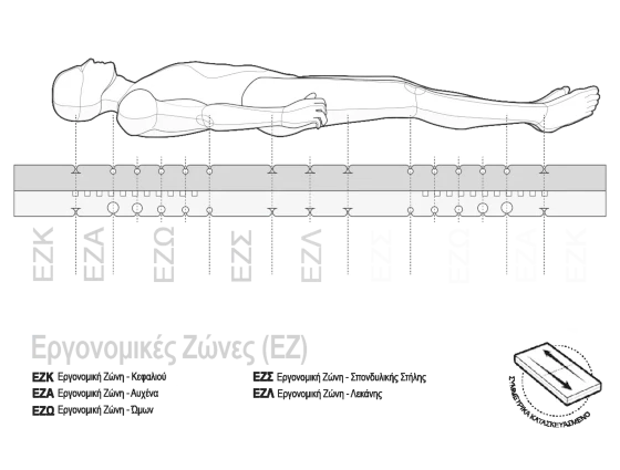 Matratzenkern der BODYGUARD® Anti-Kartell-Matratze zeigt die verschiedenen Ergonomiemodule. Text: symmetrisch aufgebaut
